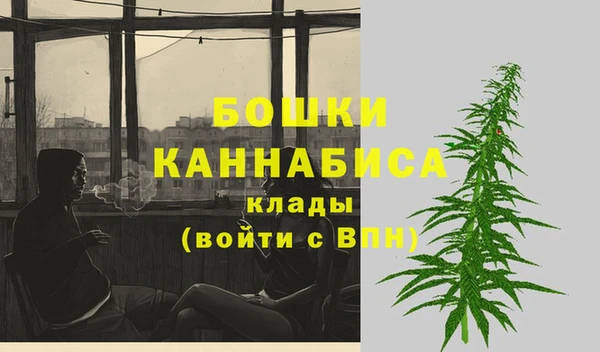 прущие грибы Лихославль