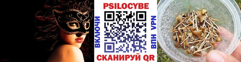 Купить  Макушино  Галлюциногенные грибы GOLDEN TEACHER 